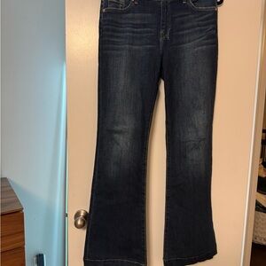 7 for all Mankind Dojo Jean.